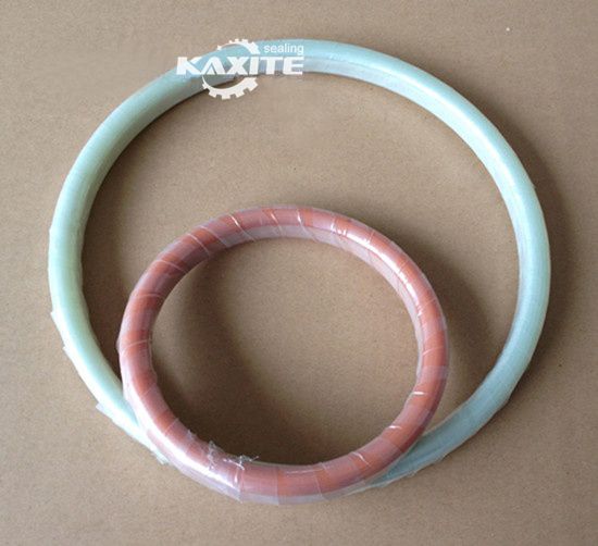 Gasket Inslithe Flange Cineál D